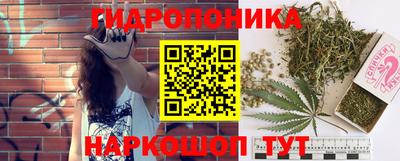 ПСИЛОЦИБИНОВЫЕ ГРИБЫ Будённовск