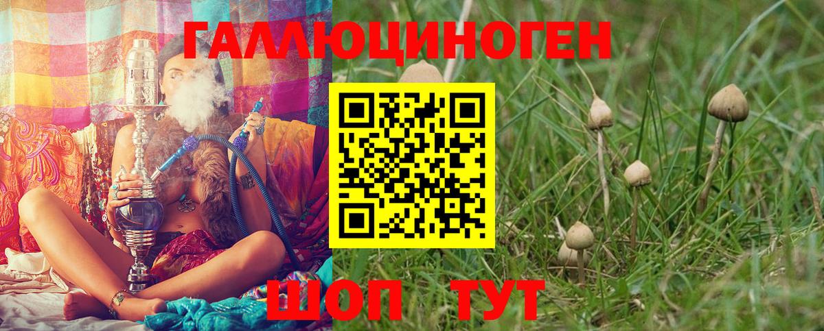 Галлюциногенные грибы мухоморы Чита