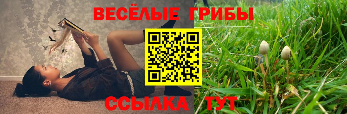 Галлюциногенные грибы Psilocybe  Псилоцибиновые грибы Cubensis  Чита  Вход с VPN 